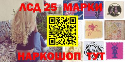 крисы Гудермес