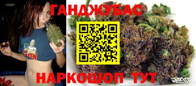 крисы Гудермес