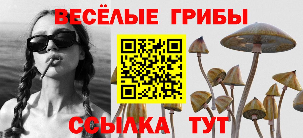 Галлюциногенные грибы Psilocybine cubensis  Вход с VPN  Мичуринск 